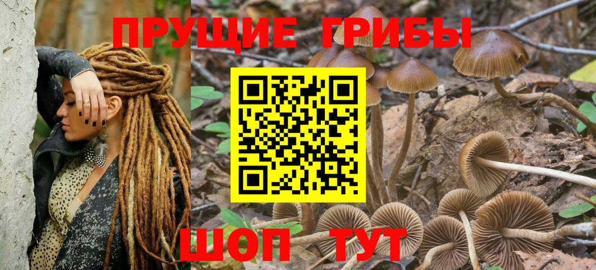 Галлюциногенные грибы мухоморы Абинск